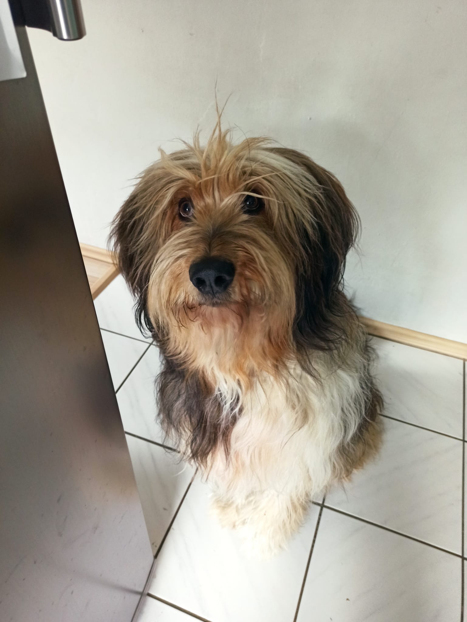 Wäller von der Straubenhalde